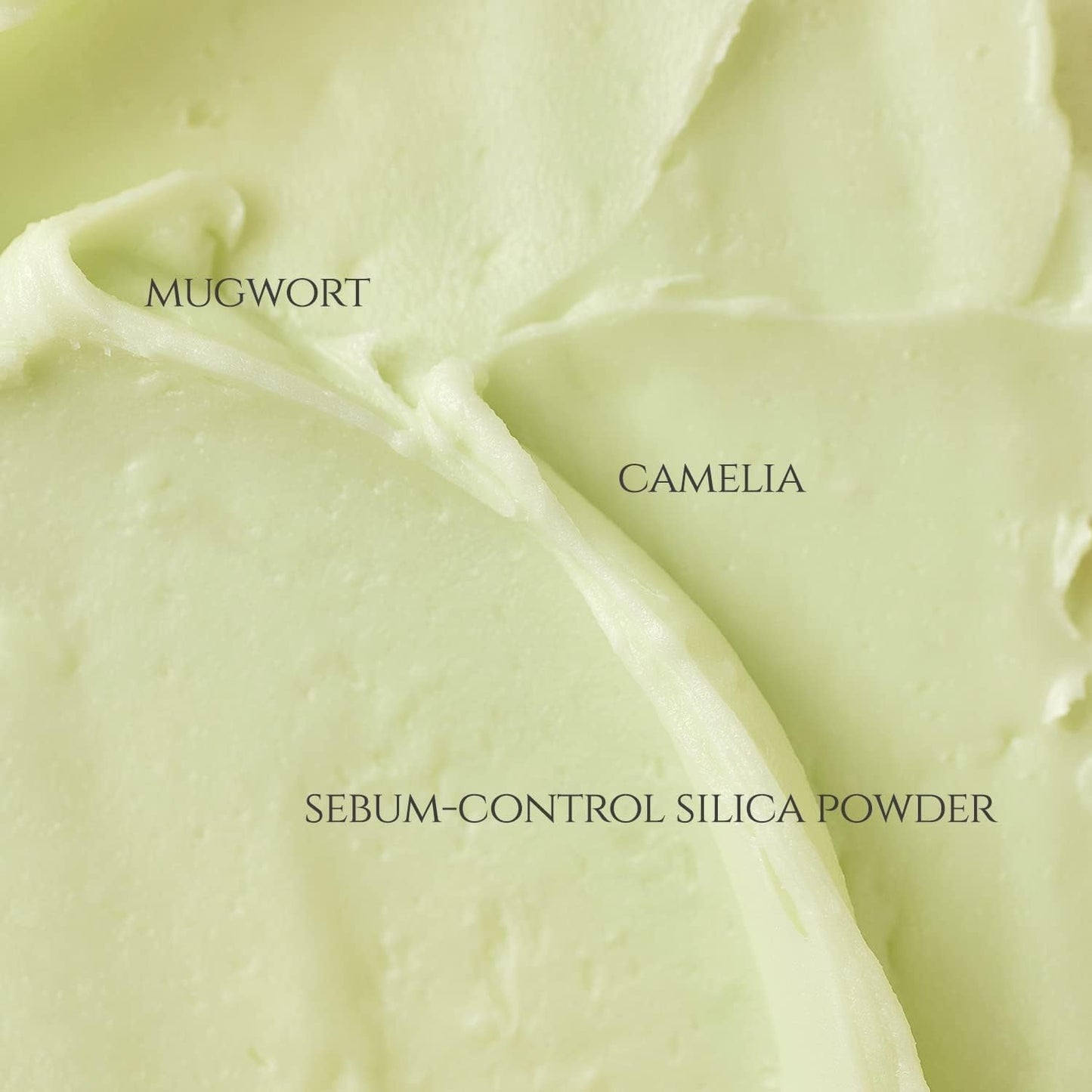 Beauty Of Joseon Matte Sun Stick - Mugwort+Camelia SPF50+PA++++