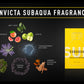 Invicta Subaqua Fragrance Collector Edition EDT 3.4 oz 100 ml For Men