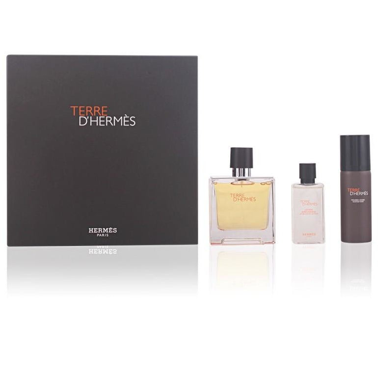 Hermes Terre d'Hermes Fragrance Set, 3.0 oz