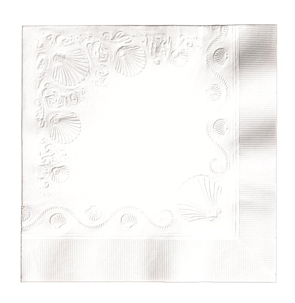 Vanity Fair Everyday Paper Napkins, 300 Total Napkins