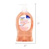 Equate Antibacterial Liquid Hand Soap, 11.25 fl.oz. "2 Pack"
