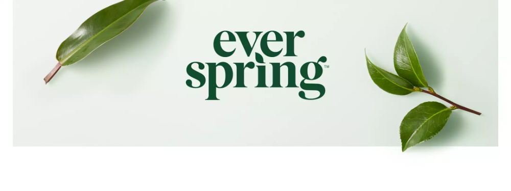 Lemon & Mint Multi-Surface Cleaning Wipes 35 Wipes Everspring