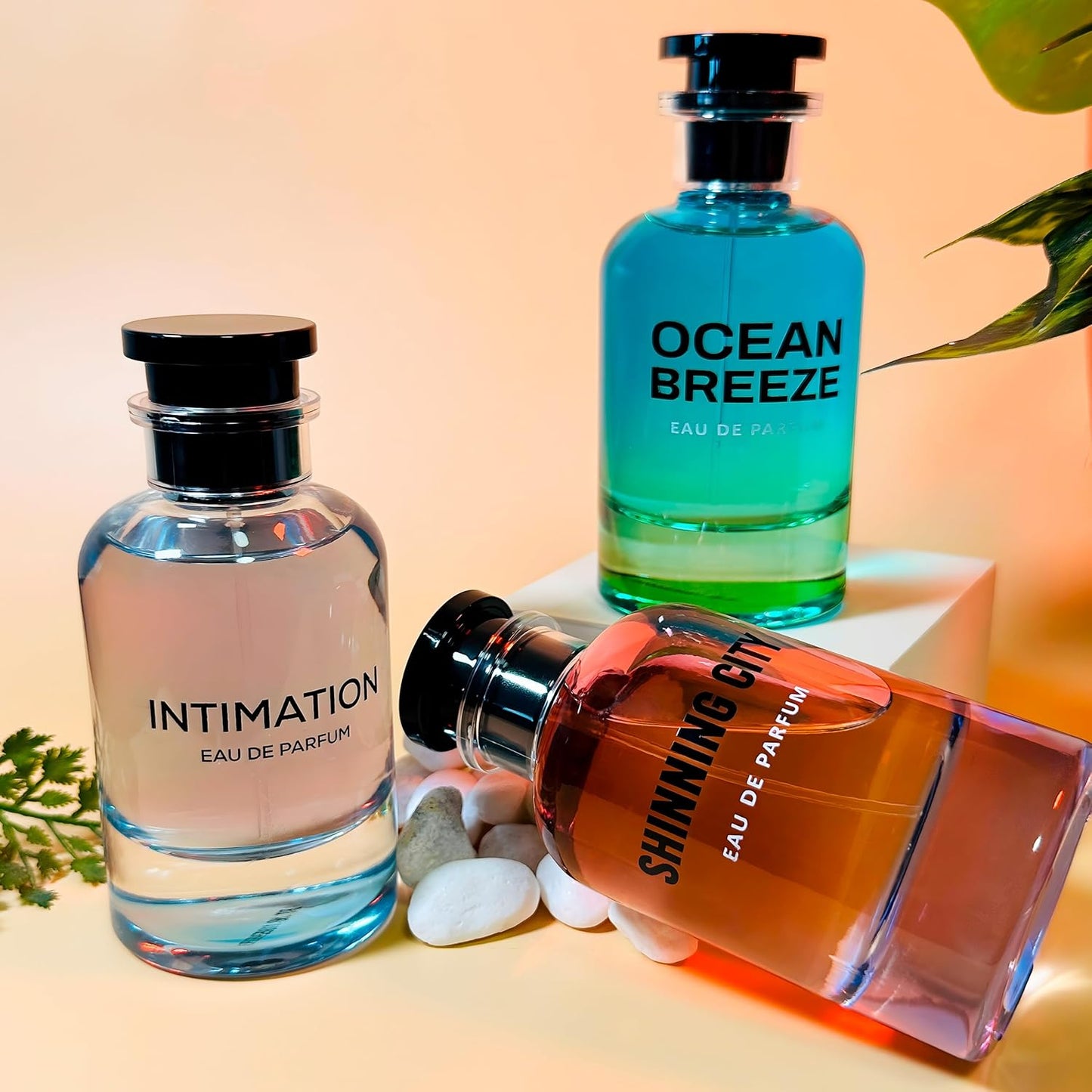 Ocean Breeze, Shinning City and Intimation by Emper Perfumes - 3.4 oz / 100 ml each (Pack of 3) Eau de Parfum