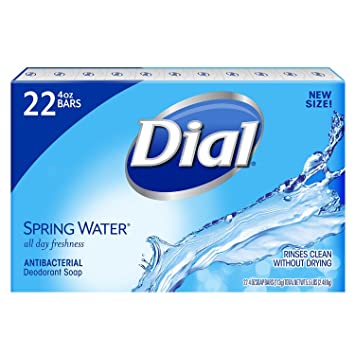 Dial Antibacterial Deodorant Spring Water Bar Soap - 4oz of 22 Bar Soaps