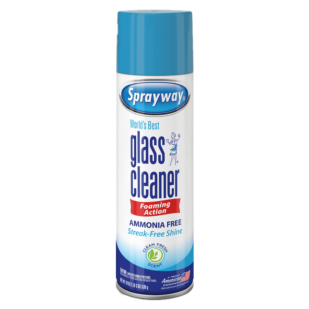 Sprayway World's Best Glass Cleaner Foaming Action 19 oz