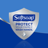 Softsoap Hand Soap Crisp Cucumber & Melon 50 oz 1.47 L