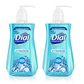 Dial Complete Liquid Antibacterial Hand Soap Spring Water 11 oz (2-PACK)