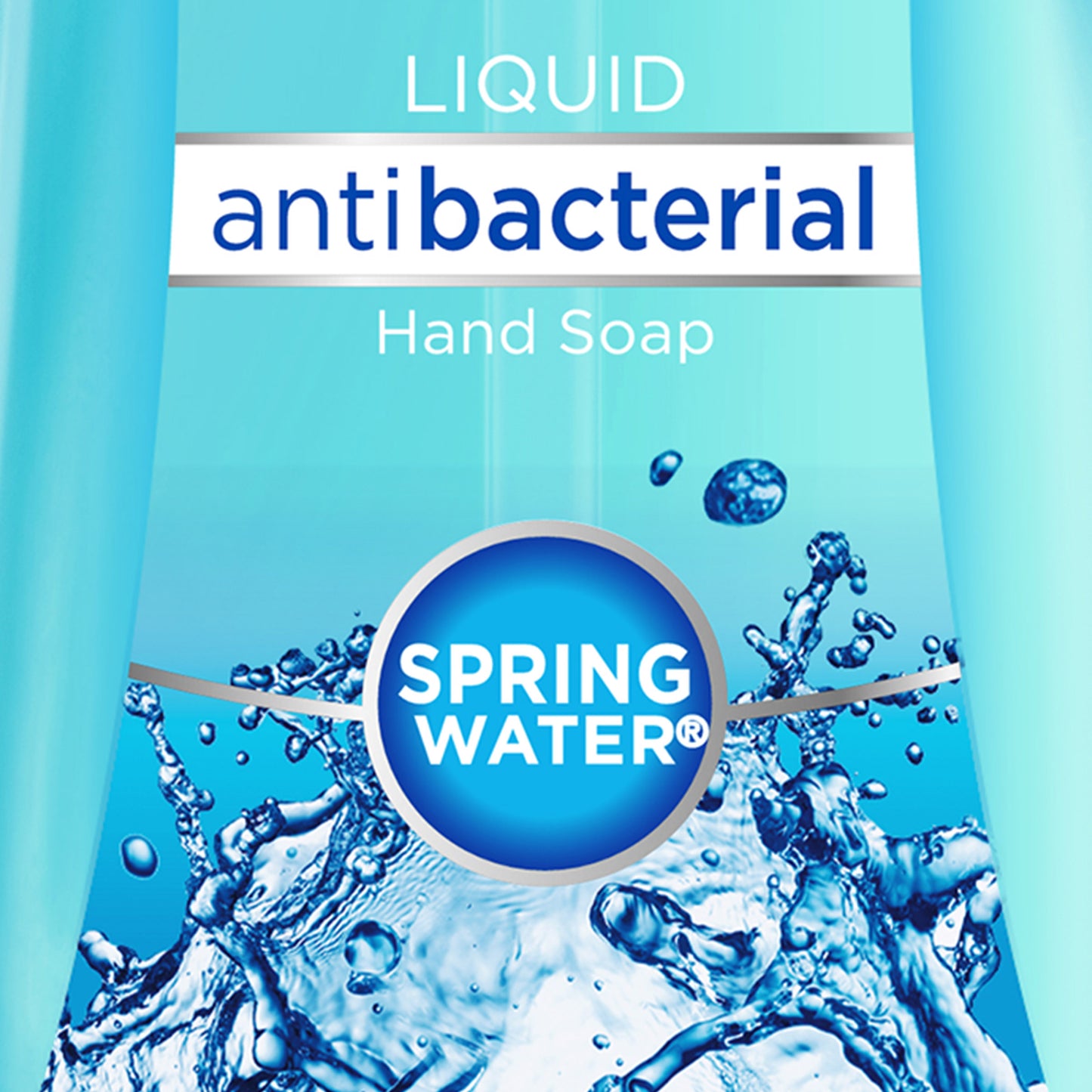 Dial Complete Liquid Antibacterial Hand Soap Spring Water 11 oz (2-PACK)