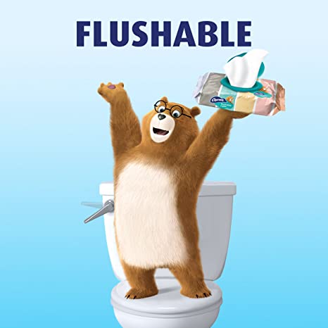 Charmin Flushable Wipes, 2 packs of 40 Flushable Wipes, 80 Total Wipes